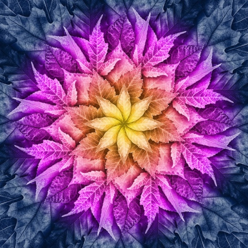 Hoffman Big Dream Leaf by Jeanie Sumrall-Ajero | Paradise  512