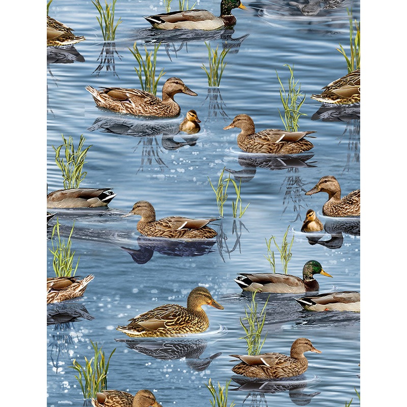 Timeless Treasures Nature C6406 - Ducks