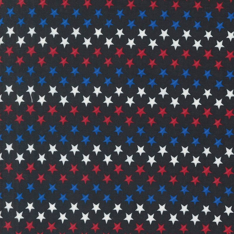 Red White & Bloom: BLACK Stars In A Row by Deb Strain (1/2 yd)
