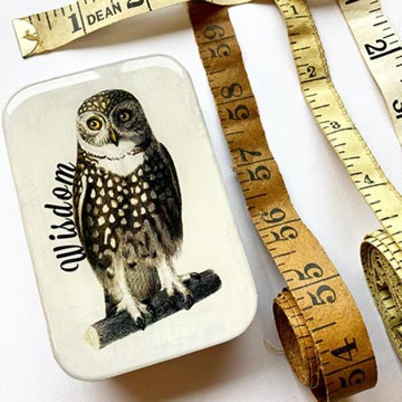Wise Owl Tin-Large & Small