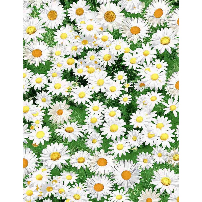 Flower Farm Daisies Multi Timeless Treasures NATURE-C7471