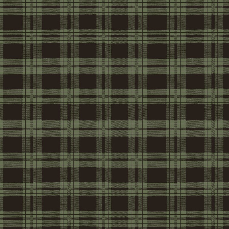 Living the Dream Plaid Blanket Y3442-112 Light Forest