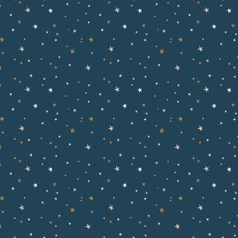 Spin And Twirl Stars Oxford Sparkle Fabric SC11614Rp