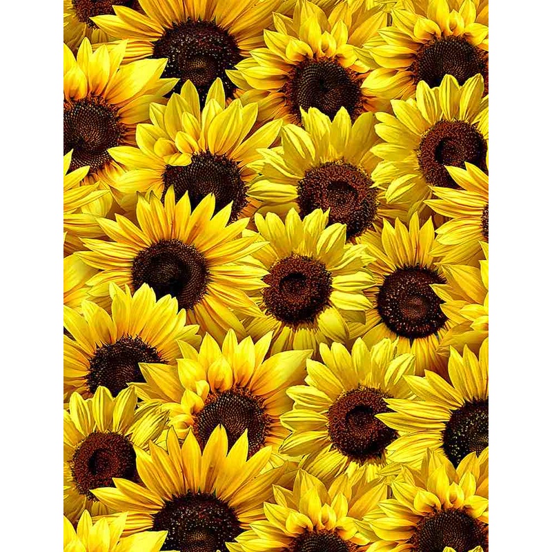 Timeless Treasures - Packed Sunflowers Fleur - C1134 YELLOW