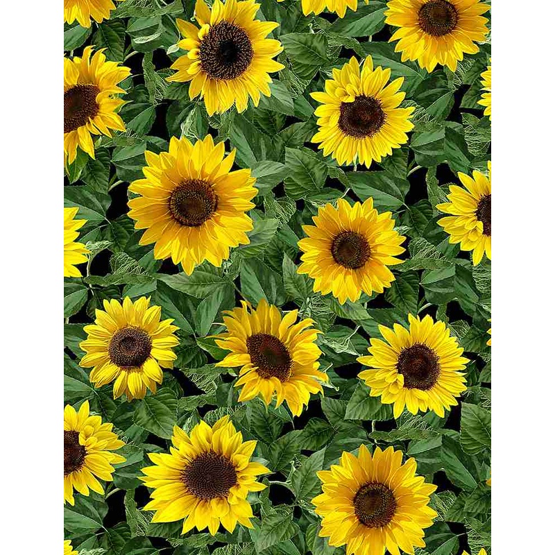 Timeless Treasures - Small Leafy Sunflowers Fleur- C1133 BLACK