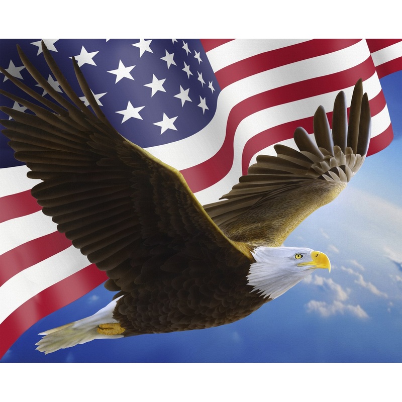 David Textiles -Foust Exclusive AL-5613-2C-1 Eagle and the Flag Panel