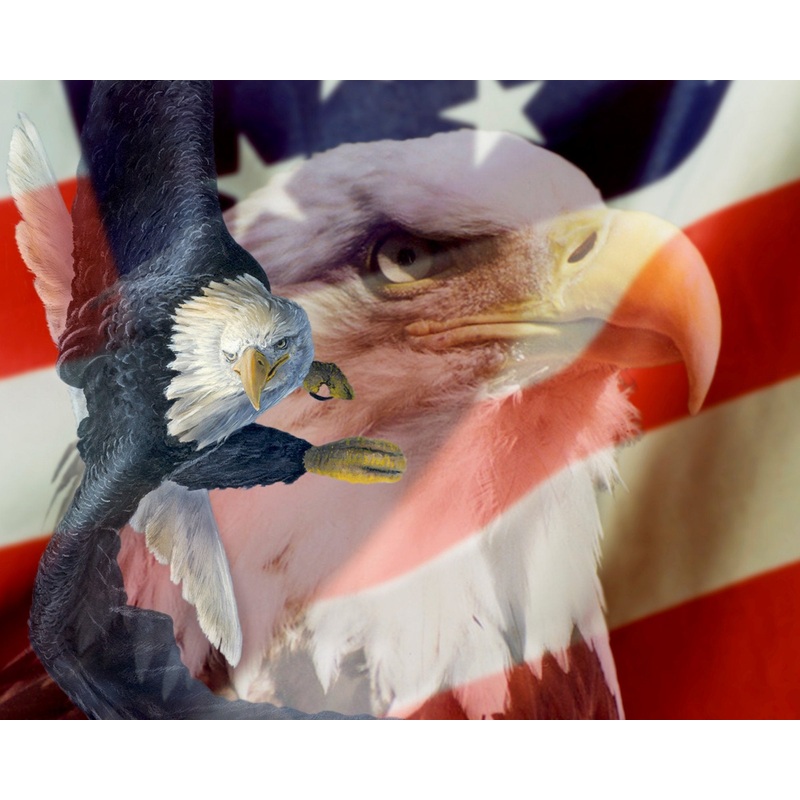 David Textiles Patriotic Collection AL 3782 CW 1 Heritage 35.5 Digital Panel