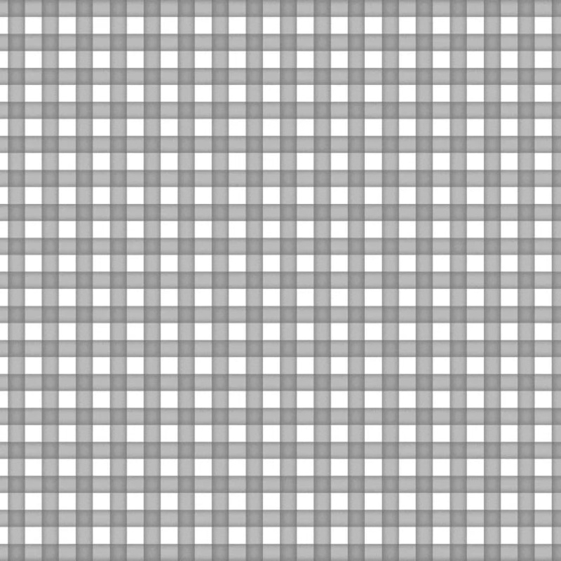Farm Babies Fabric, Gingham Check Fabric, Q-552-90