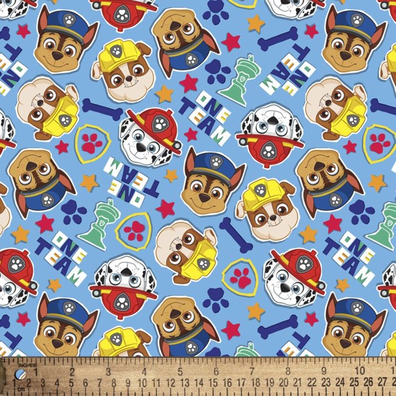 Paw Patrol One Team   DAV-PW44642C1