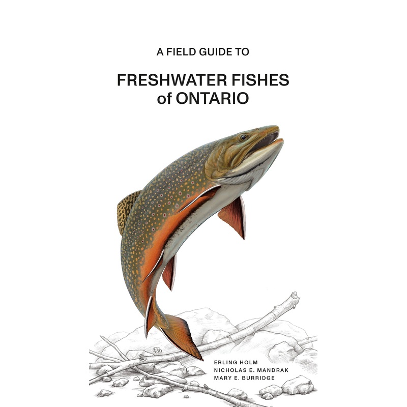 A Field Guide to Freshwater Fishes of Ontario