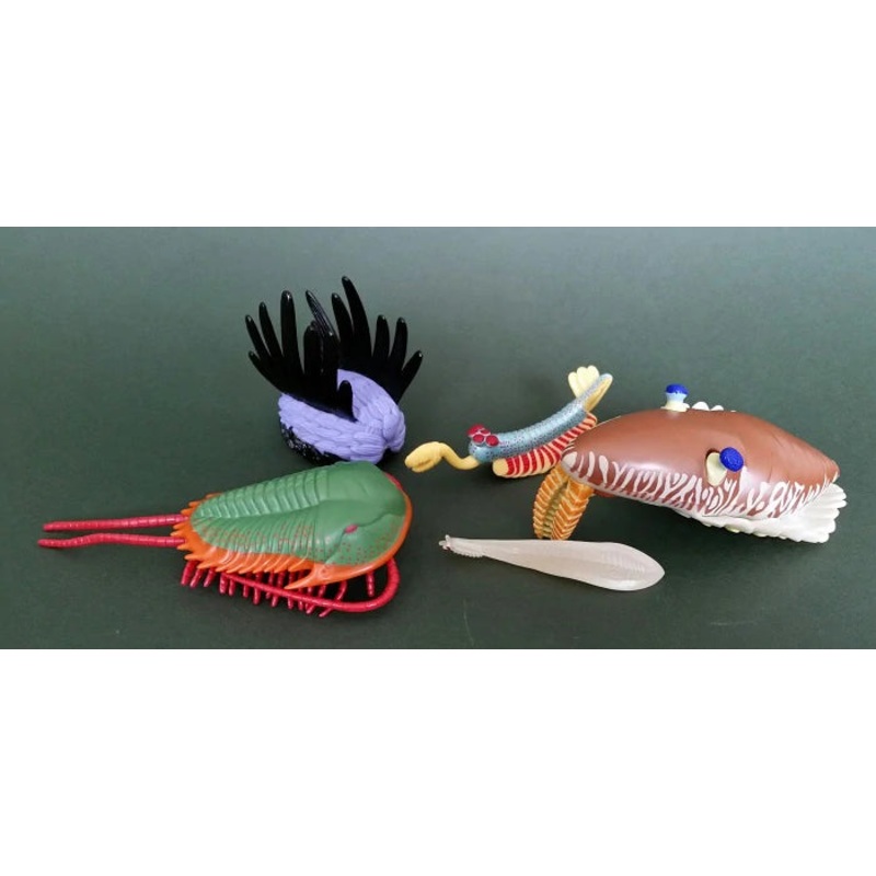Animals of the Burgess Shale