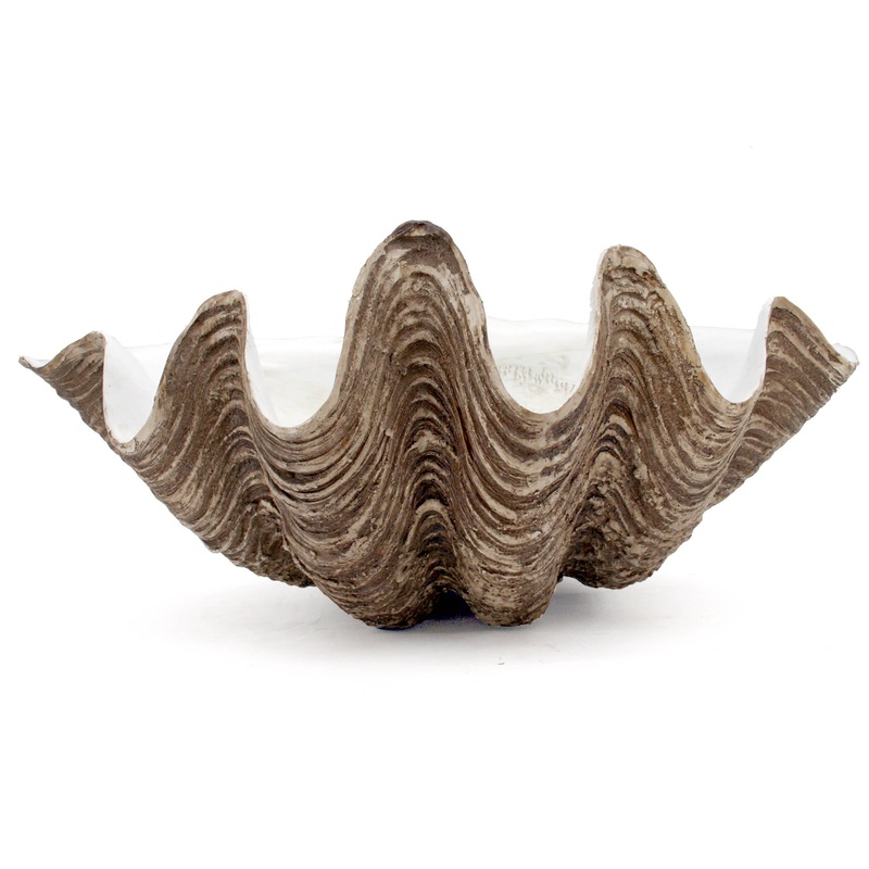 Clam Shell Decorative Bowl
