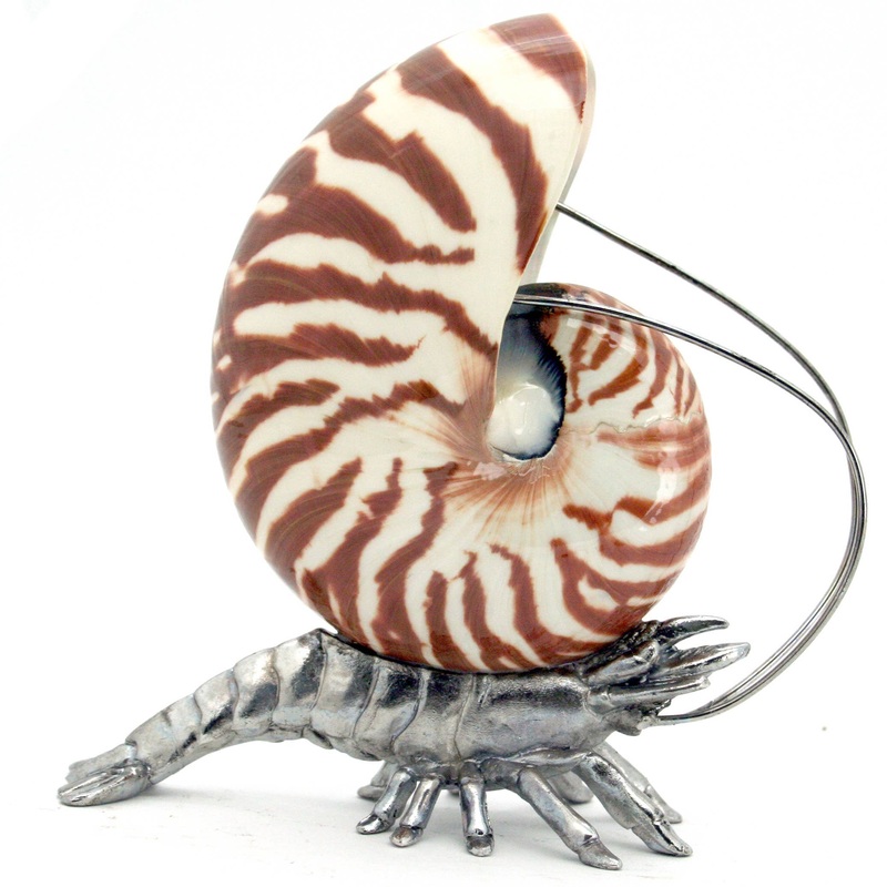 Pewter Nautilus Shrimp
