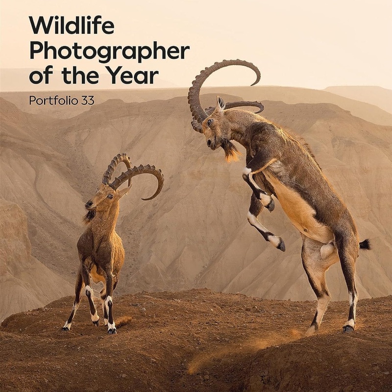 Wildlife Photographer of the Year: Portfolio 33 (2023)