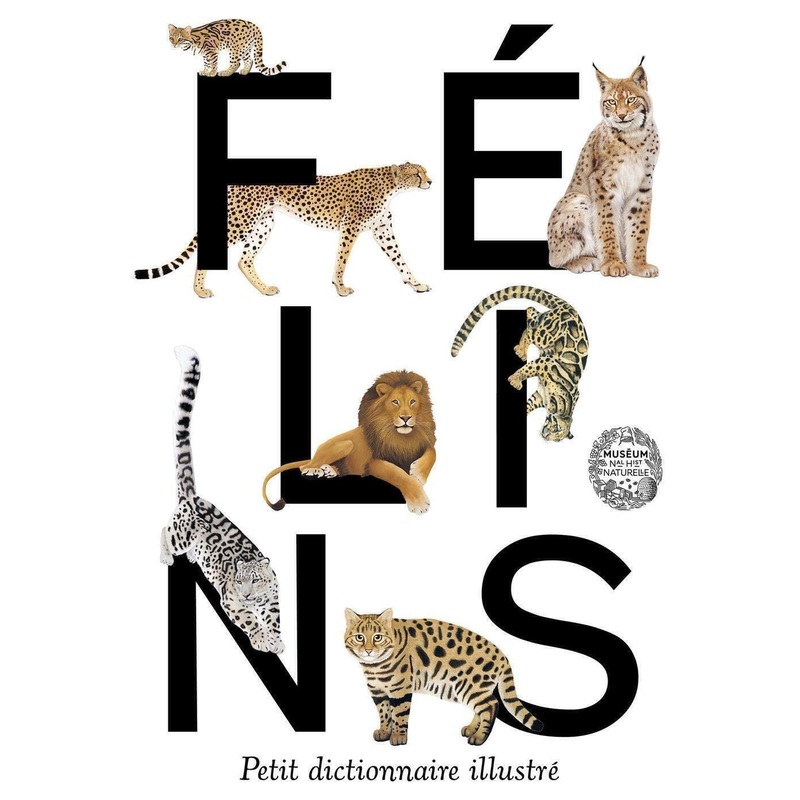 Flins. Petit dictionnaire illustr