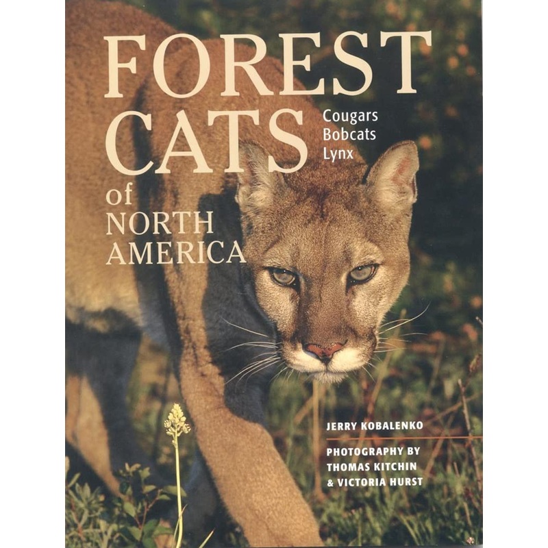 Forest Cats of North America