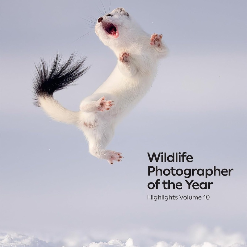 Wildlife Photographer of the Year: Highlights Volume 10