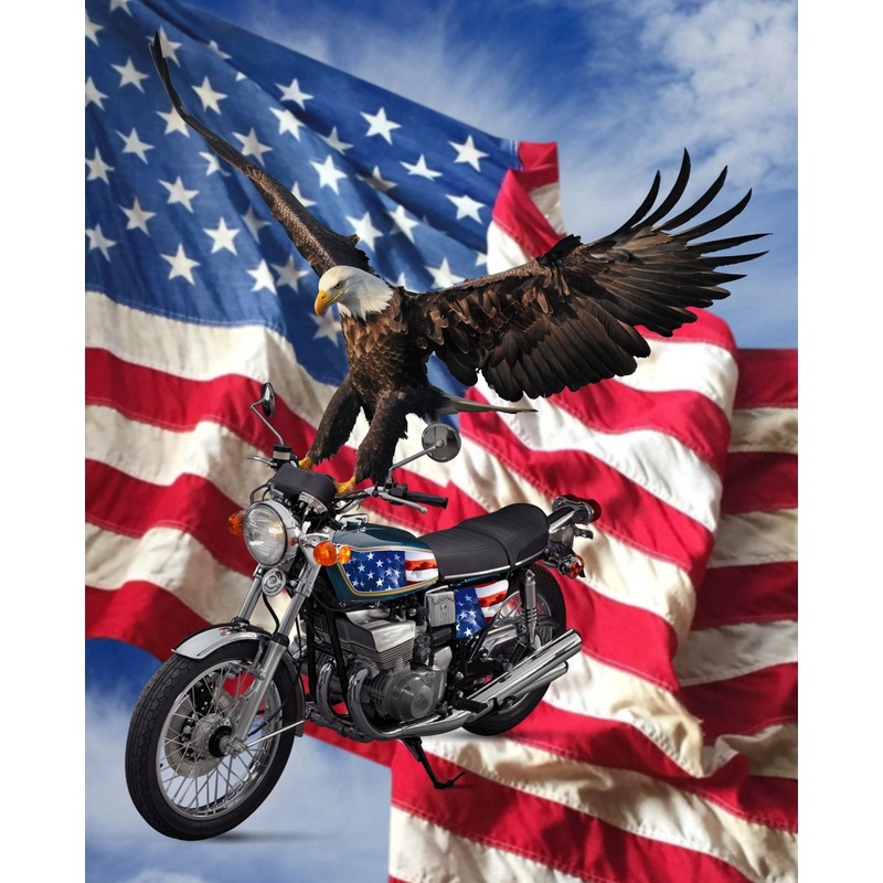 David Textiles -Foust Exclusive DX-3477-2C-1 Biker Eagle Panel
