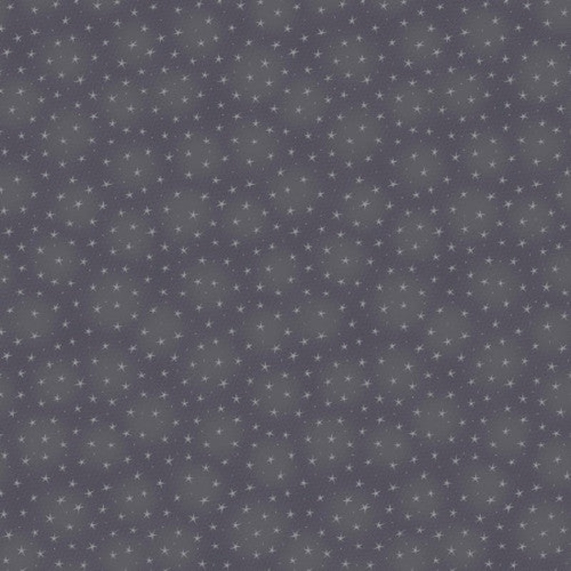 Starlet 6383-Grey  by Blank Quilting