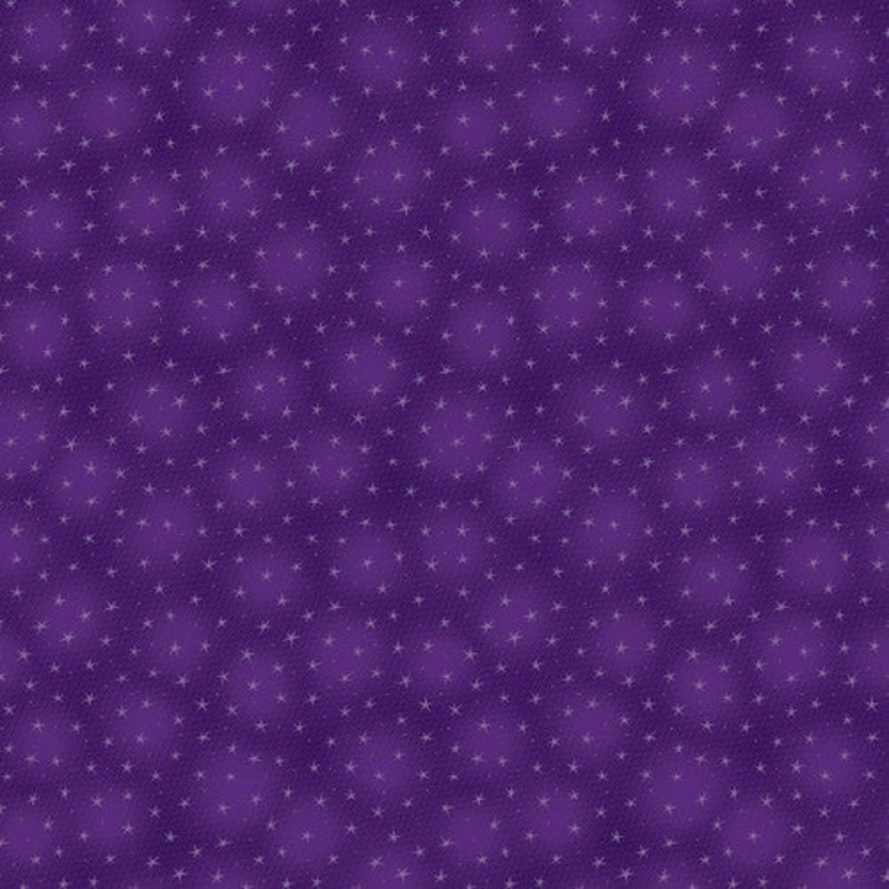Starlet 6383-Purple  by Blank Quilting