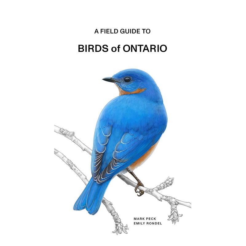 A Field Guide to Birds of Ontario