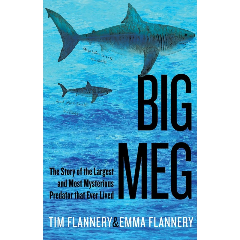Big Meg: The Story of the Largest and Most Mysterious Predator that Ever Lived