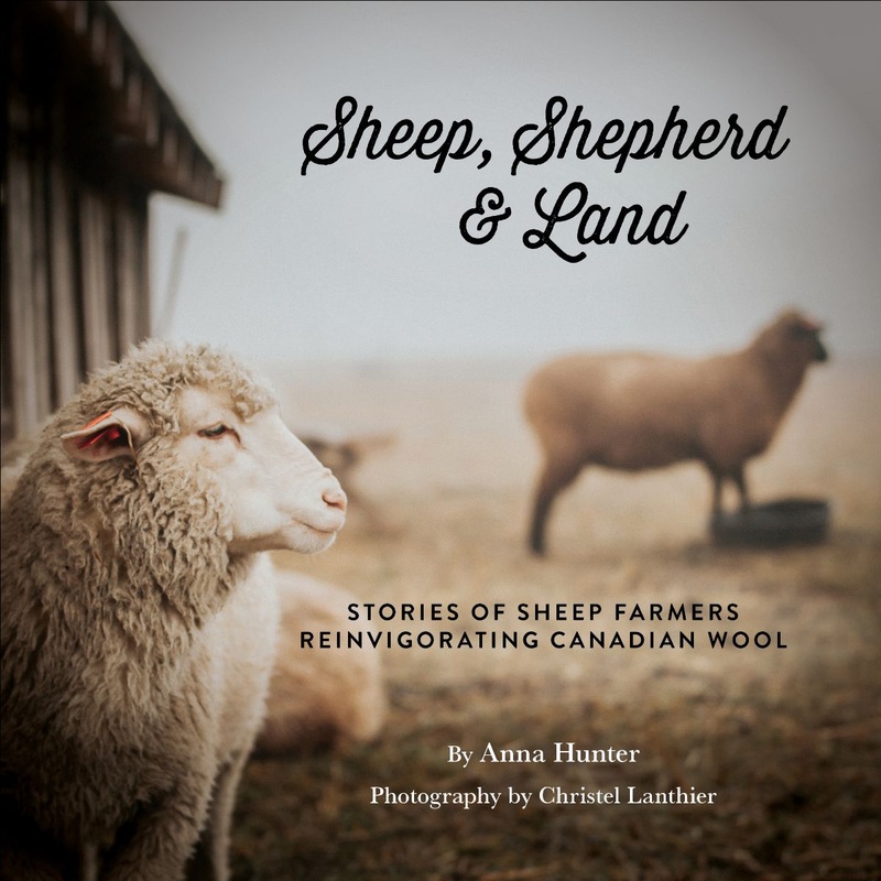 Sheep, Shepherd & Land-Sheep Shepherd & Land