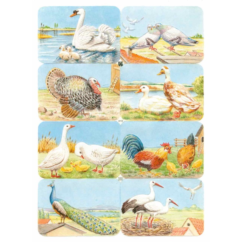 Scrapbook Pictures, Birds-Vintage
