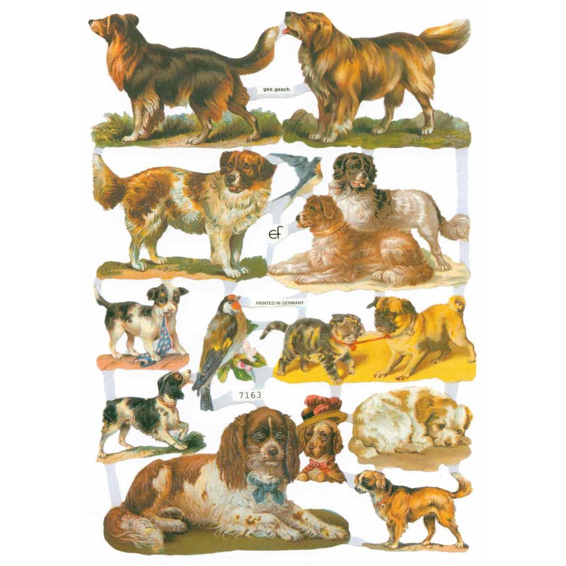 Scrapbook Pictures, Dogs-Vintage