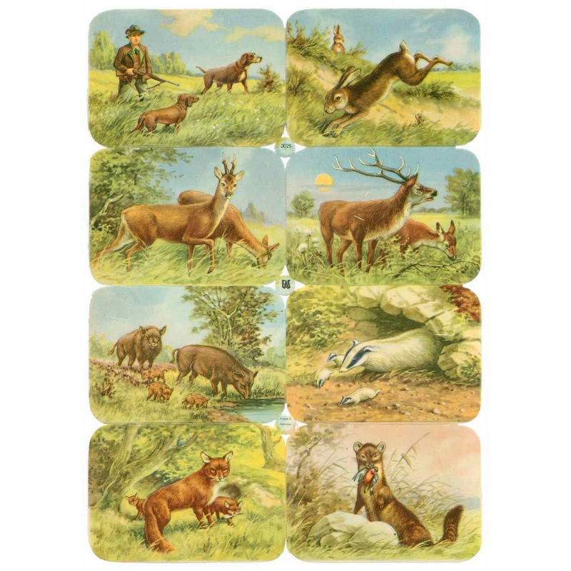 Scrapbook Pictures, Animals.