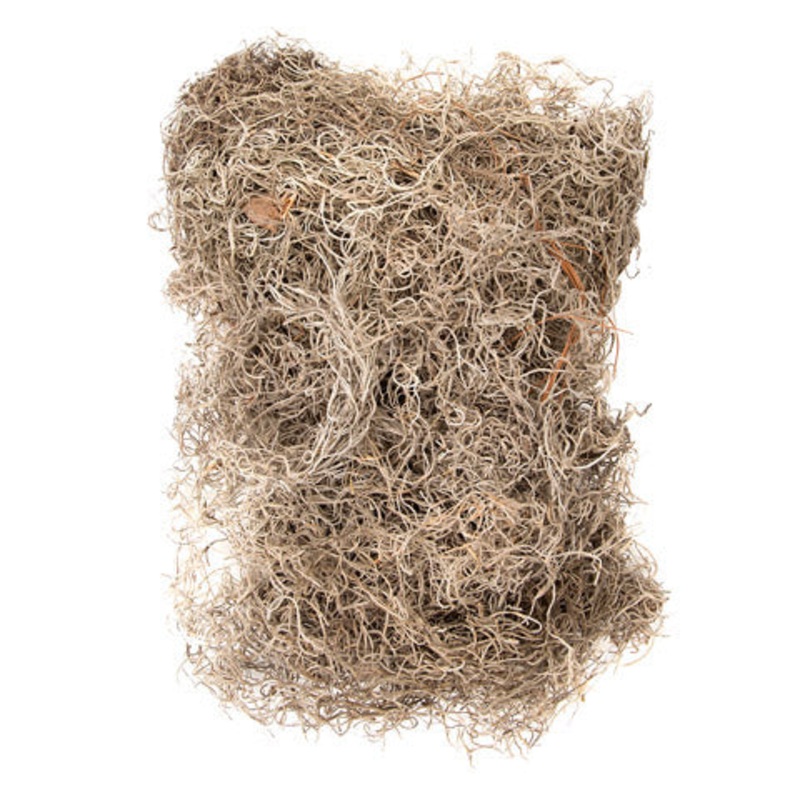 Spanish Moss-4 Oz