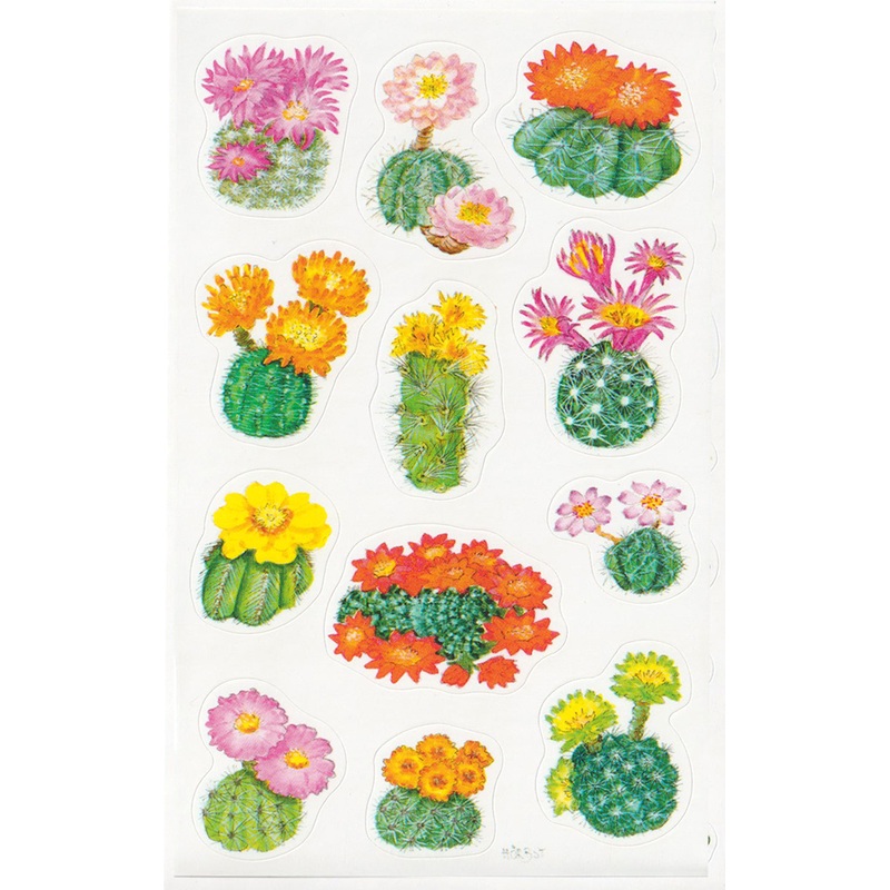 Cactus Flowers - Stickers