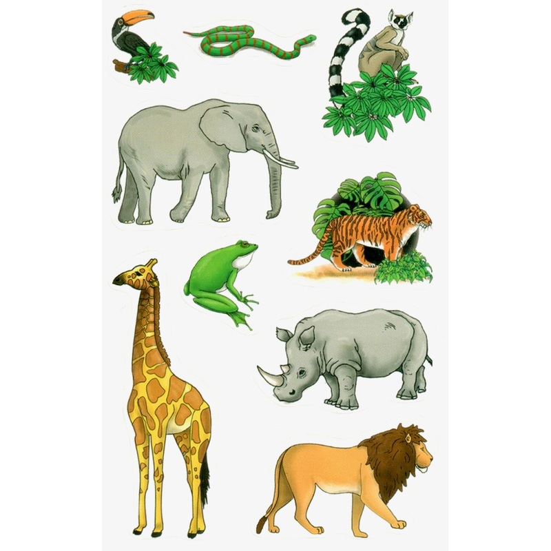 Safari Animals