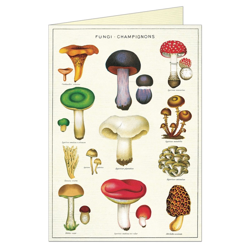 Fungi Champignons Greeting Card