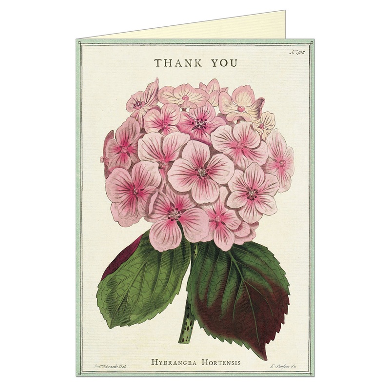 Hydrangea Thank You Card