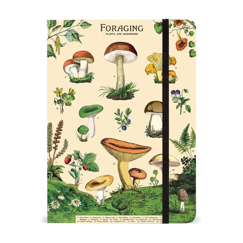 Foraging Notebook-Foraging