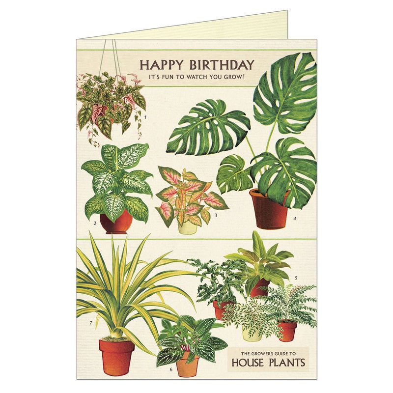 Happy Birthday House Plants - Greeting Card