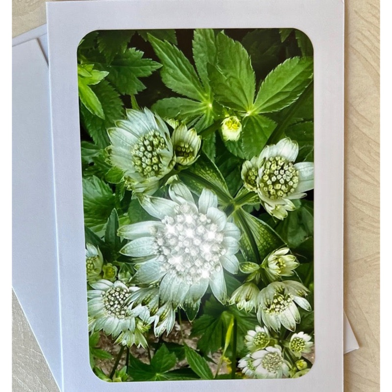 White Flowers Pink Centers Glittered Handmade Card