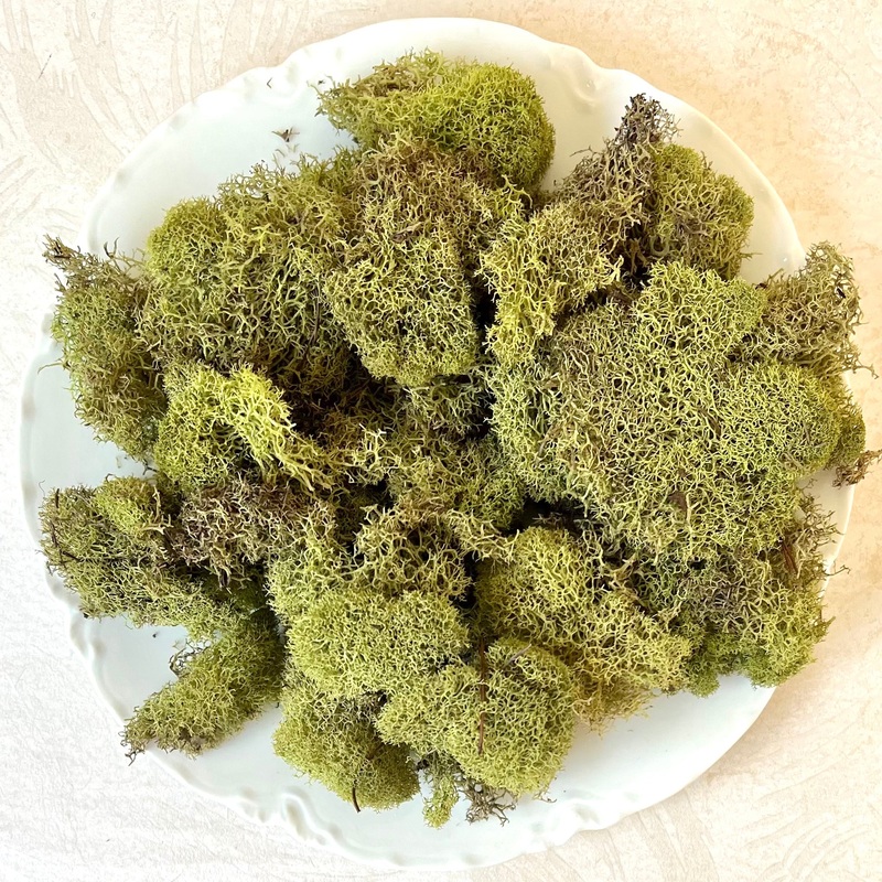 Reindeer Moss, Light Green-1 Oz Light Green Reindeer Moss
