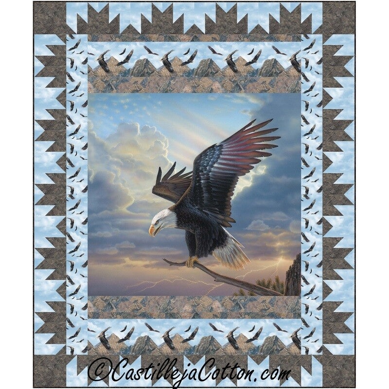 Eagle Landing Downloadable Pattern