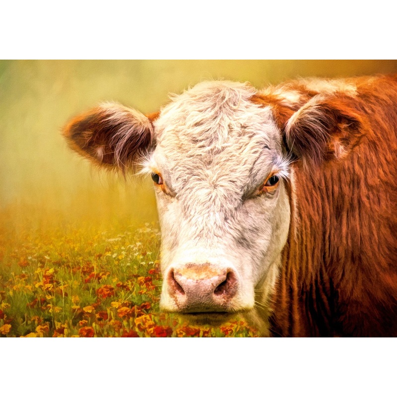 A Handsome Hereford Panel 20in x 14in