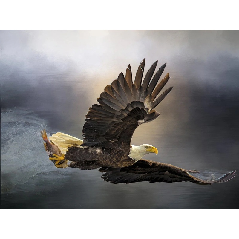 Bald Eagle with Dinner Panel 24in x 18in