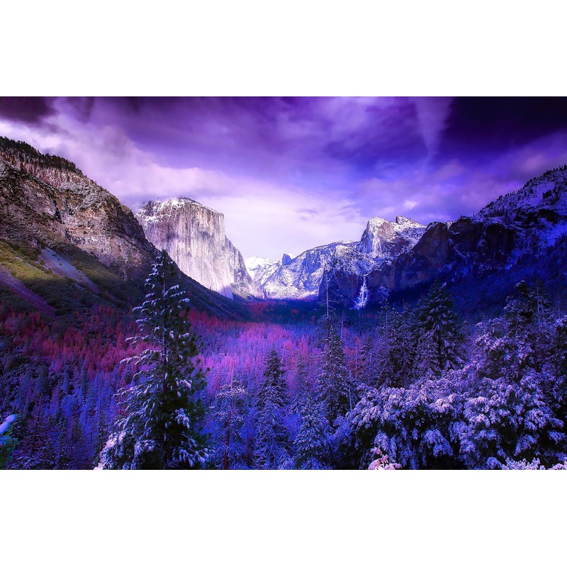 Yosemite in Winter Panel 27.5in x 18in