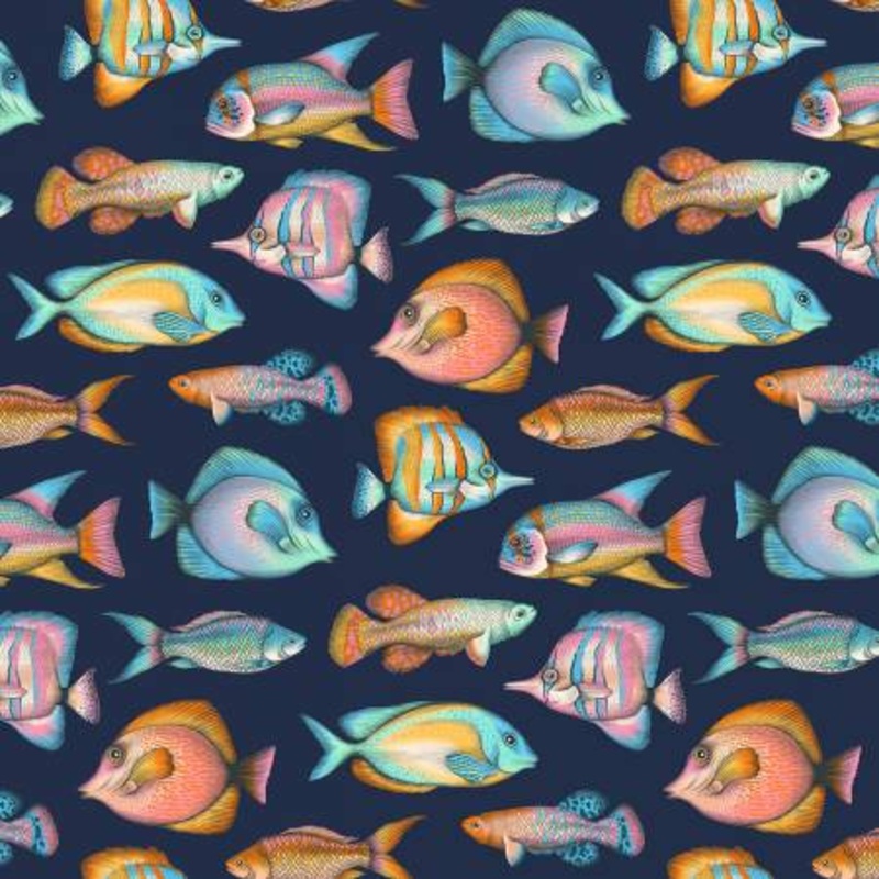 Terrain of Thought - Off The Hook Moonlight