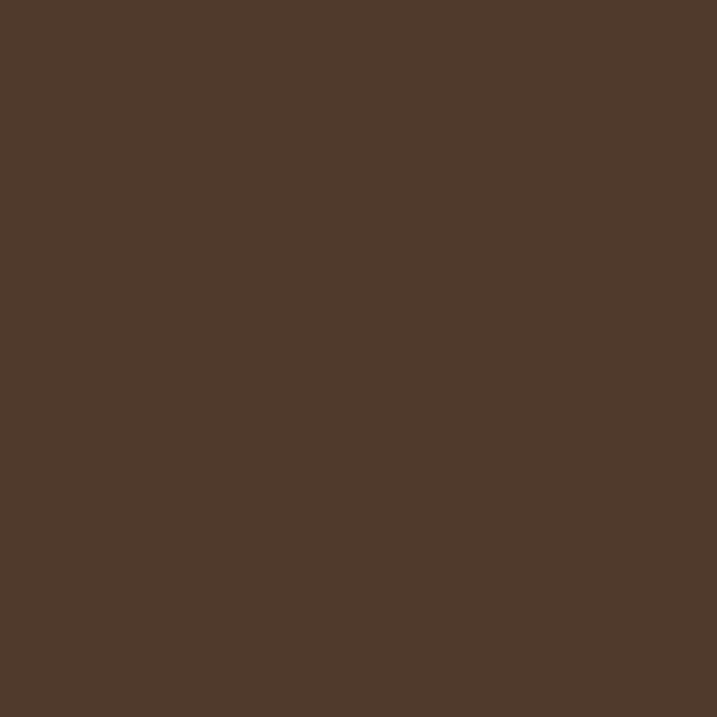 Painters Palette Solids - Espresso