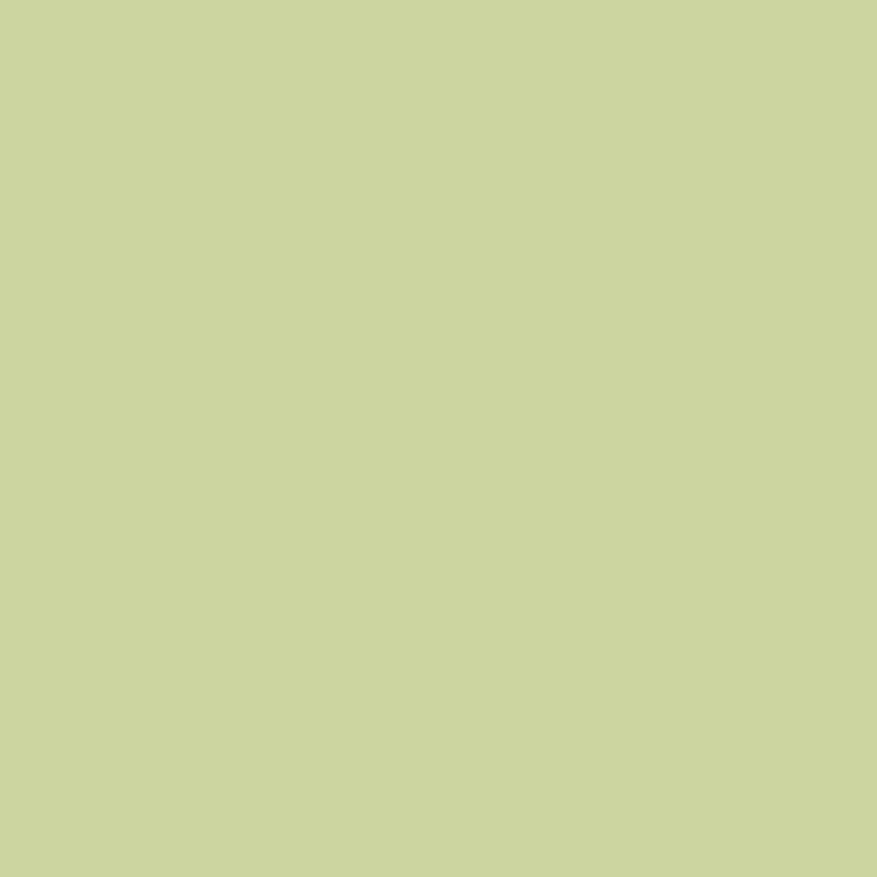 Painters Palette Solids - Lime Mist