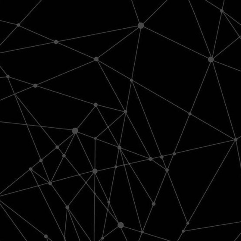 40 - String Theory - Black Ranger