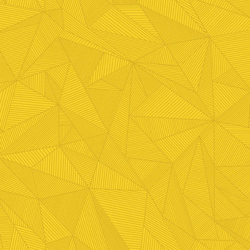 40 - Terra - Yellow Ranger