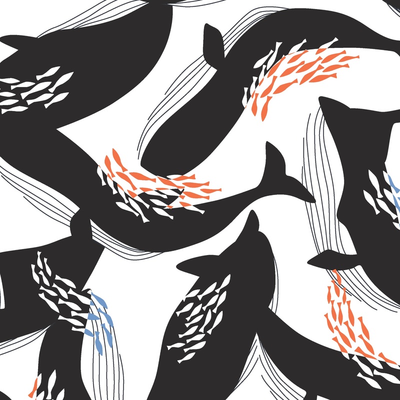 Canvas Collective - Happy Whales