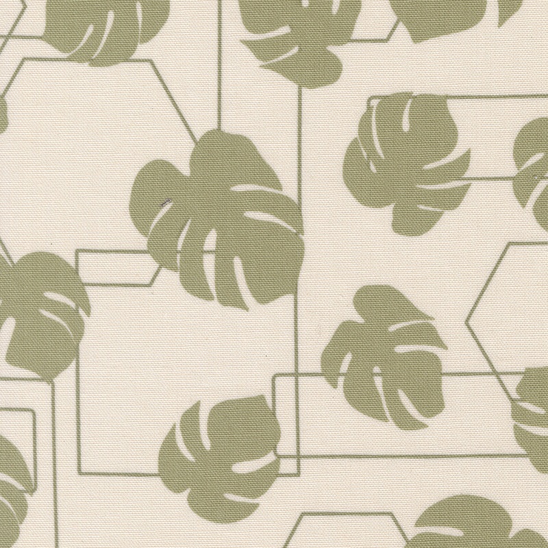 Potted Canvas - Monstra Geo - Stone